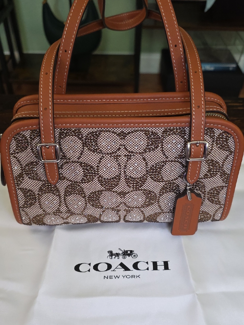 Coach Swing Zip 20 - Crystal Signature